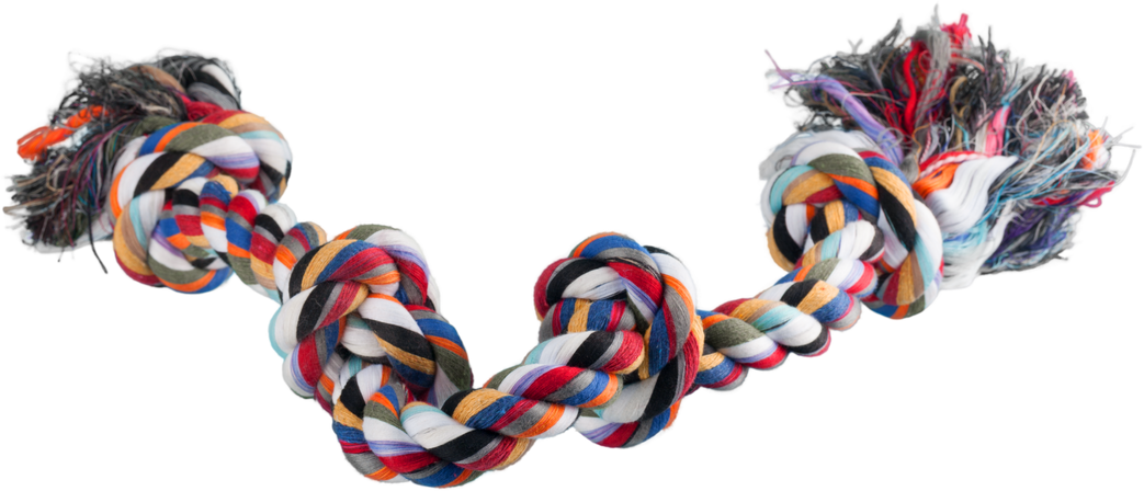 Dog Toy Rope Isolated