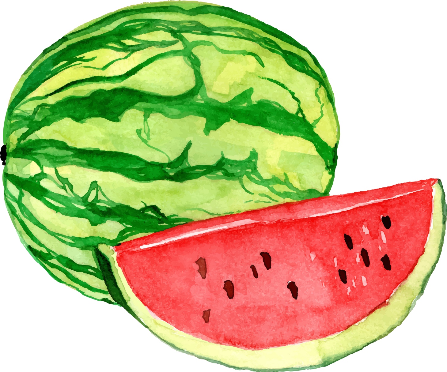 Watercolor Watermelon Fruit
