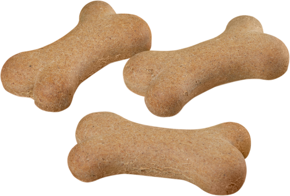 Dog Treats